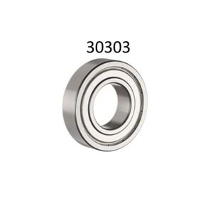 30303 RULMAN